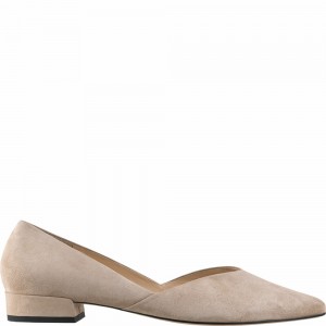 Ballerine Högl Boulevard 20 Femme Taupe | LMHG-69748