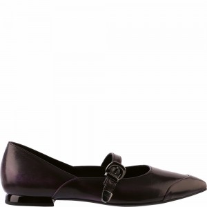 Ballerine Högl Mia Femme Aubergine | CWXB-41397
