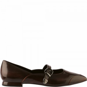 Ballerine Högl Mia Femme Rust | FKHE-12576