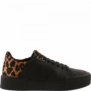 Basket Högl Blade Femme Noir | UHXB-93280