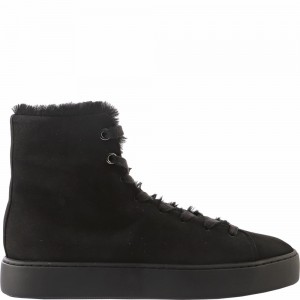 Basket Högl Teddy Femme Noir | NBPR-04297