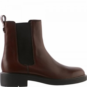 Bottines Högl Edward Femme Marone | XBPT-43186
