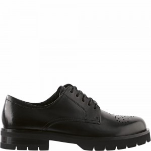 Chaussure Lacet Högl Rocky Femme Noir | GJPO-86715