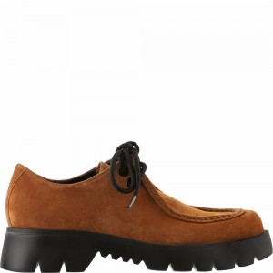 Chaussure Lacet Högl Sally Femme Noir | FPBZ-76385